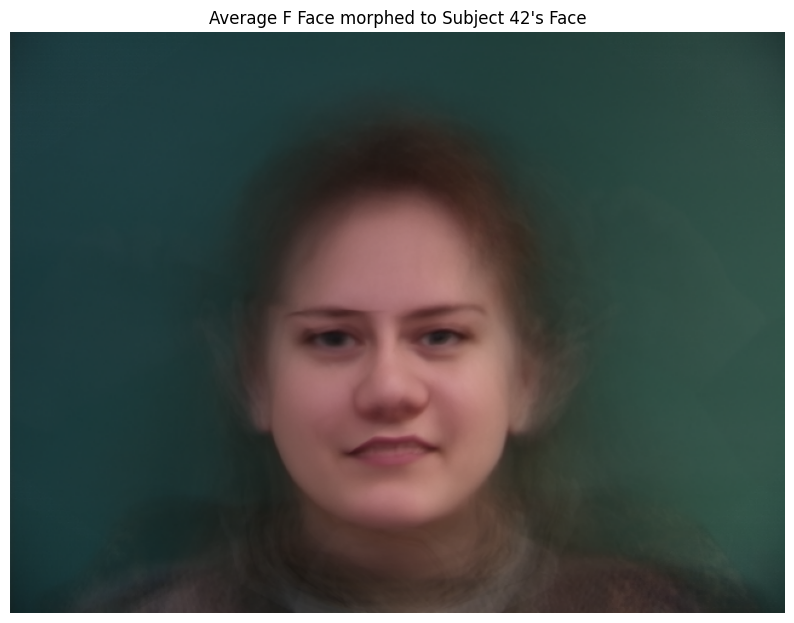 Average Female Face morphed to Sameer's points