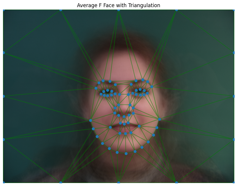 Average Female Face Triangulation