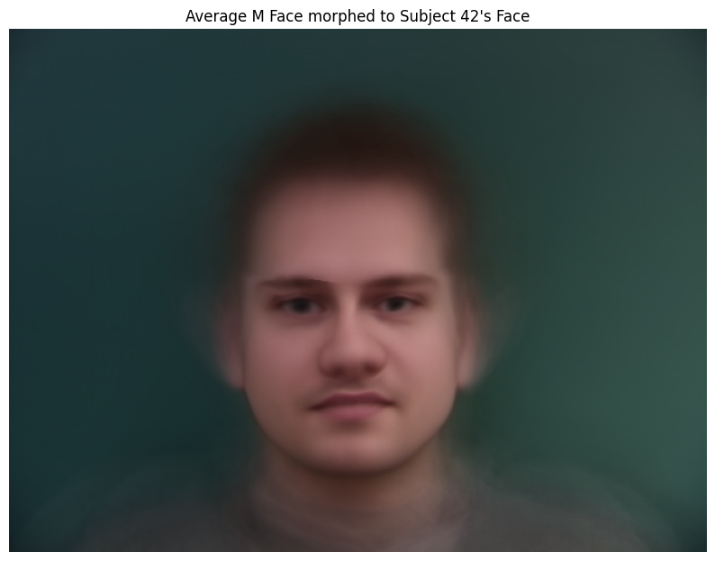 Average Male Face morphed to Sameer's points