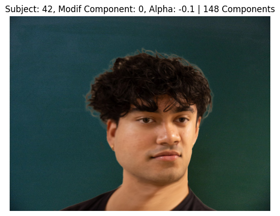 Subject 42, PCA Component 0, Alpha -0.1, 148 Components