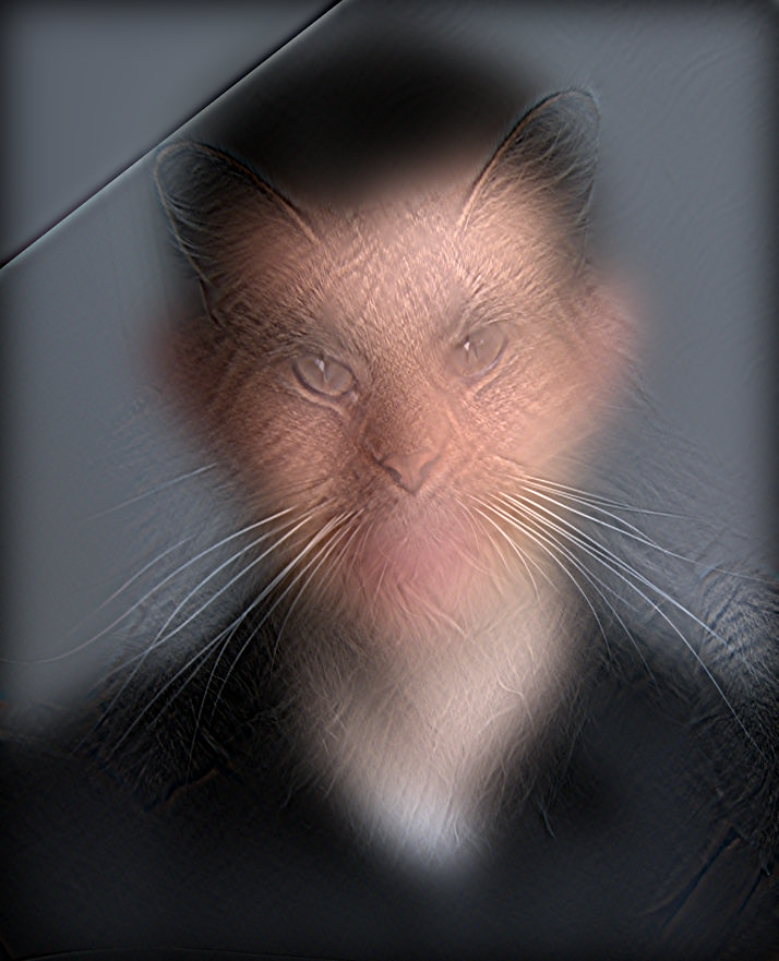project thumbnail