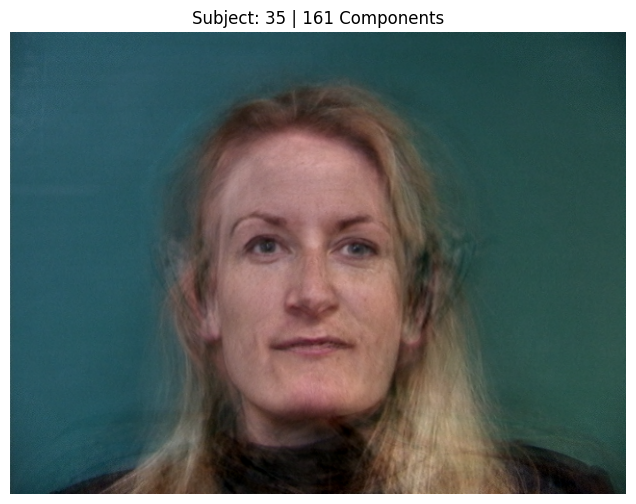 Subject 35, PCA with 161 Components