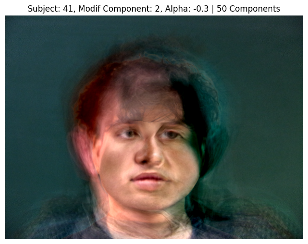 Subject 41, PCA Component 2, Alpha -0.3, 50 Components