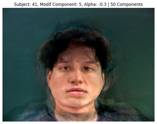 Subject 41, PCA Component 5, Alpha -0.3, 50 Components