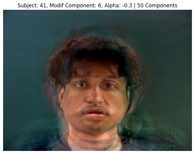 Subject 41, PCA Component 6, Alpha -0.3, 50 Components